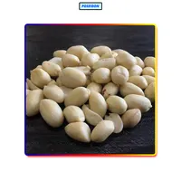 Topo da Lista Exportador e Fornecedor de Alta Qualidade Whole Blanched Raw Amendoim/Amendoim para Os Compradores Em Massa