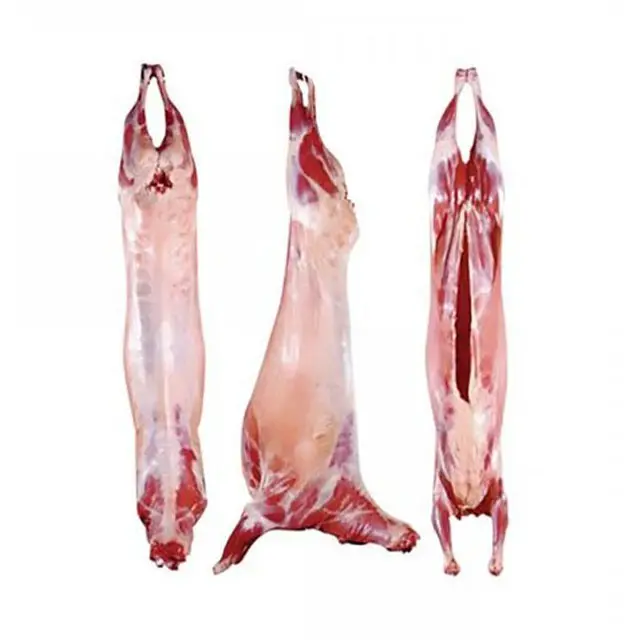 Kualitas Premium 100% Halal Segar/Domba Beku/Kambing/Daging Domba/Pemancingan. 2021
