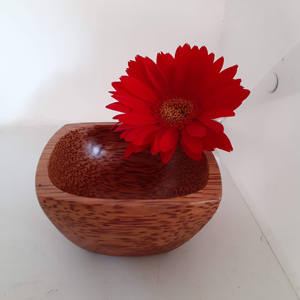 Bol de salle à manger en noix de coco rustique fait à la main écologique naturel décor à la maison de haute qualité Vietnam fait petite boîte d'occasion de Pâques emballée - Product Image 2