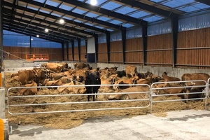 ร้อนขายแคนาดาก่อสร้างโครงสร้างเหล็กยาว-Span โครงสร้างเหล็กอาคาร/COW Shed - Product Image 2