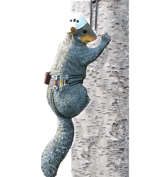 Sincap ağacı dağcı heykel