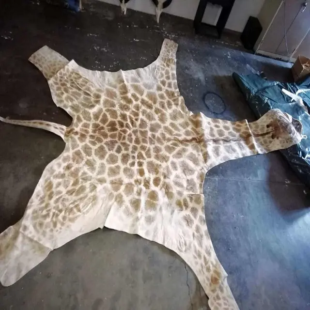 Couvertures de peau de vache en cuir véritable, vente en gros, Grain complet, provenant de la thaïlande