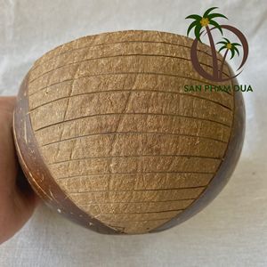 Tazón de cáscara de coco ecológico de alta calidad, cuchara de madera, diseño colorido para acampar, cartón empaquetado de origen VIETNAM pulido - Product Image 6