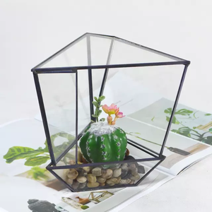 Terrarium en laiton en verre sans plomb pour décoration intérieure pour jardin et intérieur - Product Image 4