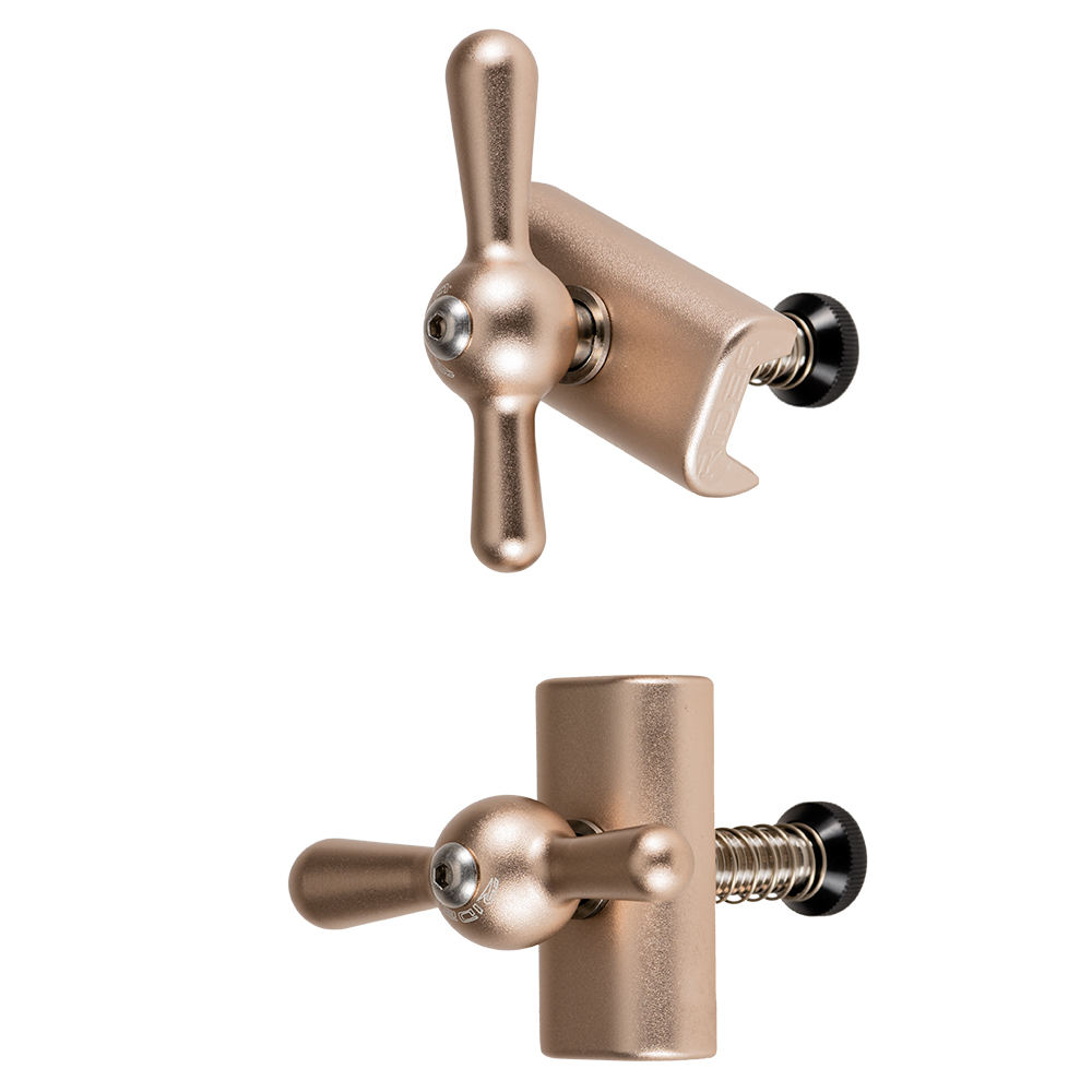 แชมเปญสีด้าน