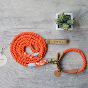 New Design Dog <b>Leash</b> - Product Image 1