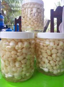 Suministro superior Puerros pequeños en escabeche vegetales populares para la venta - Product Image 4