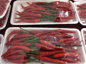 PROVEEDOR CHILI CONGELADO DE VIETNAM - Product Image 6