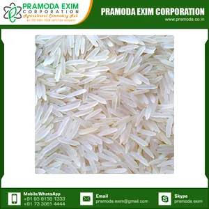Riz blanc indien meilleur riz à long grain riz basmati pour Pulao et Biryani au prix de gros
