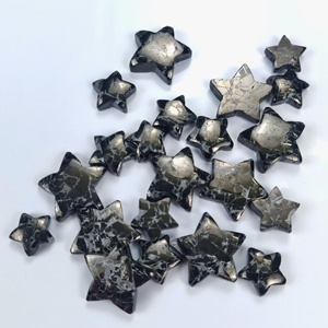 Proveedor al por mayor de piedras preciosas semipreciosas en forma de estrella de shungita natural para la fabricación de joyas de lujo - Product Image 2