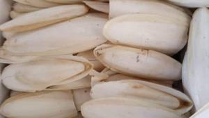 VIETNAM MEILLEUR PRIX ENCRE DE SEICHE PRIX CONCURRENTIEL - Product Image 5