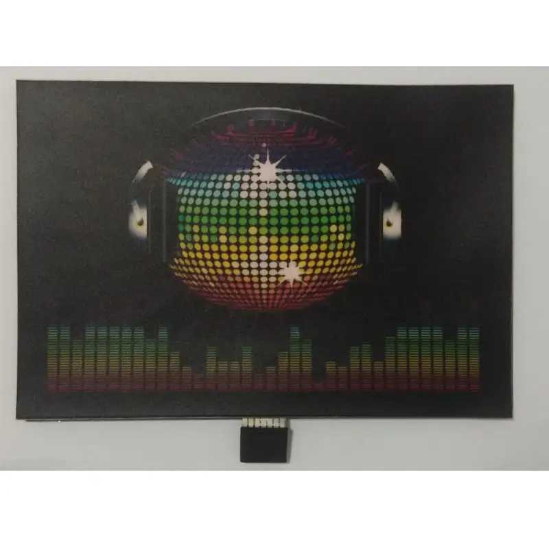 More than 600 designs are available in cool LED sound-activated flash T-shirt EL panels for all party