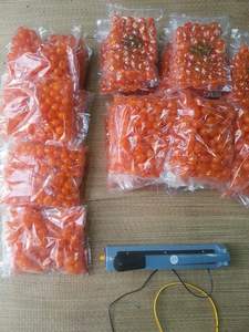 Yema de Huevo Salada Congelada de Primera Calidad Vietnamita para Venta al por Mayor (Más Vendida) - Sra. Akina - Product Image 2