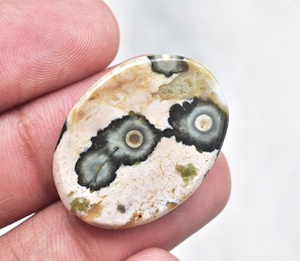 แคสเปอร์หลังเบี้ยโอเชียน - Product Image 6