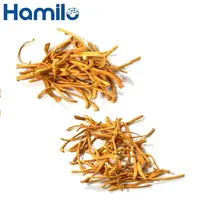 Dried Cordyceps, Water Soluble, Ready to Ship from Vietnam