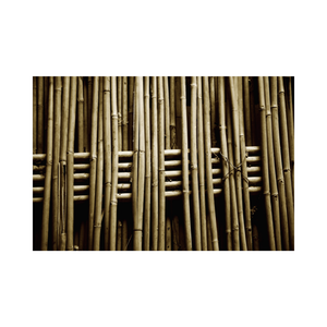 Bâtons en bambou de haute qualité, naturel et Support, pour le jardin - Product Image 6