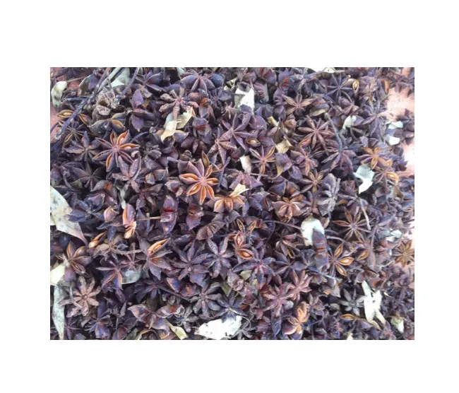 100% Pure Dried Star Anise Brokenvdelta Flower Supplier From Vietnam