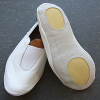 Zapatillas de Ballet Elásticas de Lona Rosa para Hombre, Diseño Nuevo, Color y Logotipo Personalizables, Media Suela Elástica para Uso en Jazz, Danza Lírica y Gimnasia