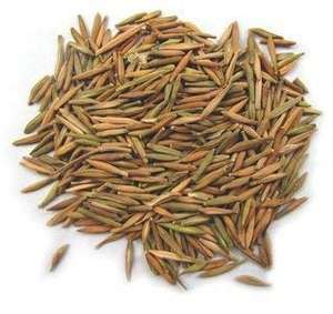 Indrajau Kadwa <b>Seed</b> Herbal Extract of Holarrhenapubescens 1kg Drum Packaging - Product Image 5