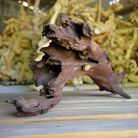 Niche pour reptiles antique en bois de rose (bois de Java) massif, motif naturel, écologique, pour usage intérieur et extérieur, cage pour reptiles