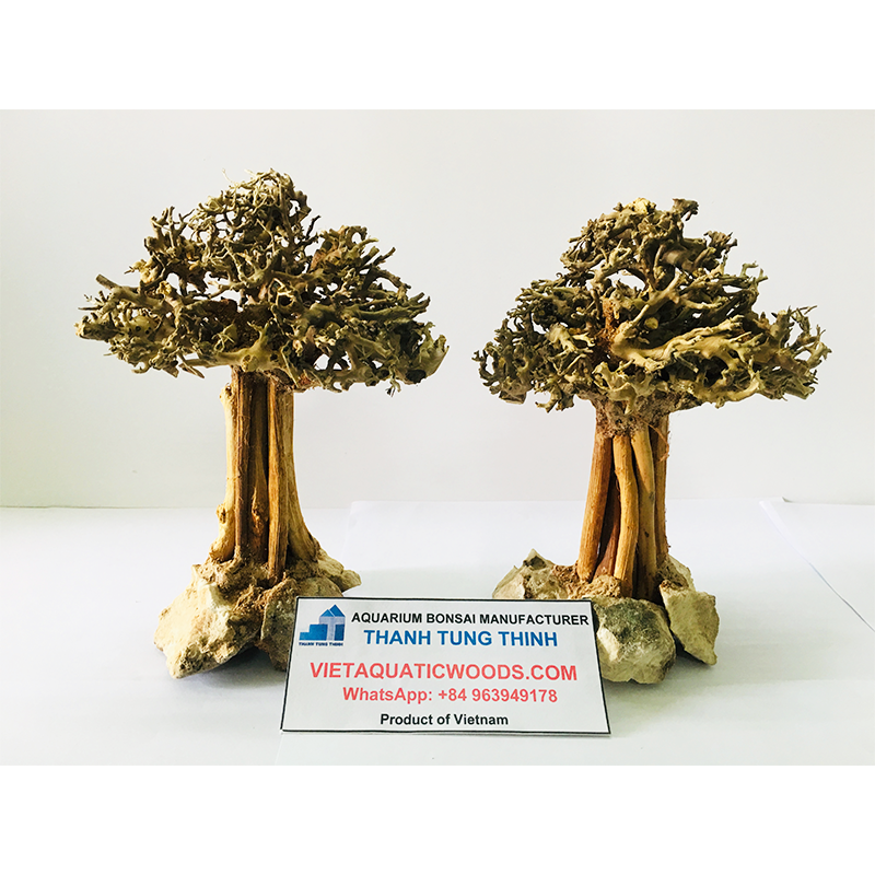 ธรรมชาติ