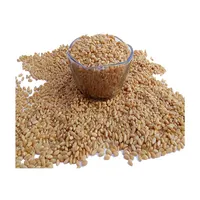 Sharbati חיטה להכנת הטוב ביותר עולמות חיטה קמח 100% טבעי, אורגני & טהור הנמכר ביותר גלם מוצר
