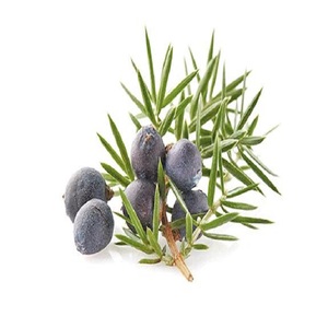 Aceite Esencial de Cade Puro Certificado, Origen España, Destilado al Vapor, con Propiedades Reafirmantes y Nutritivas - Proveedores Mayoristas a Bajo Precio - Product Image 1