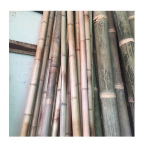 แถบไม้ไผ่ด้ามกลมด้ามไม้ไผ่เป็นมิตรกับสิ่งแวดล้อม,สำหรับแปรงสีฟันไม้ไผ่ผลิตในเวียดนาม99ข้อมูลสีทอง - Product Image 5