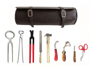 Kit de Herrador para el Cuidado de Pezuñas de Caballos e Instrumentos Quirúrgicos Veterinarios, Herramientas Manuales de Clase I con Certificación CE - Product Image 2