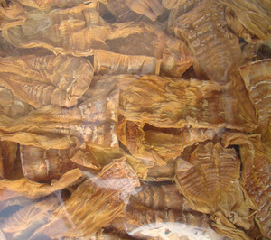 Brote de bambú seco Rebanada Brotes de Bambú - Product Image 3