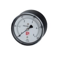 Pro Instrument 10kPa Diaphragm PRESSURE GAUGE for GAS