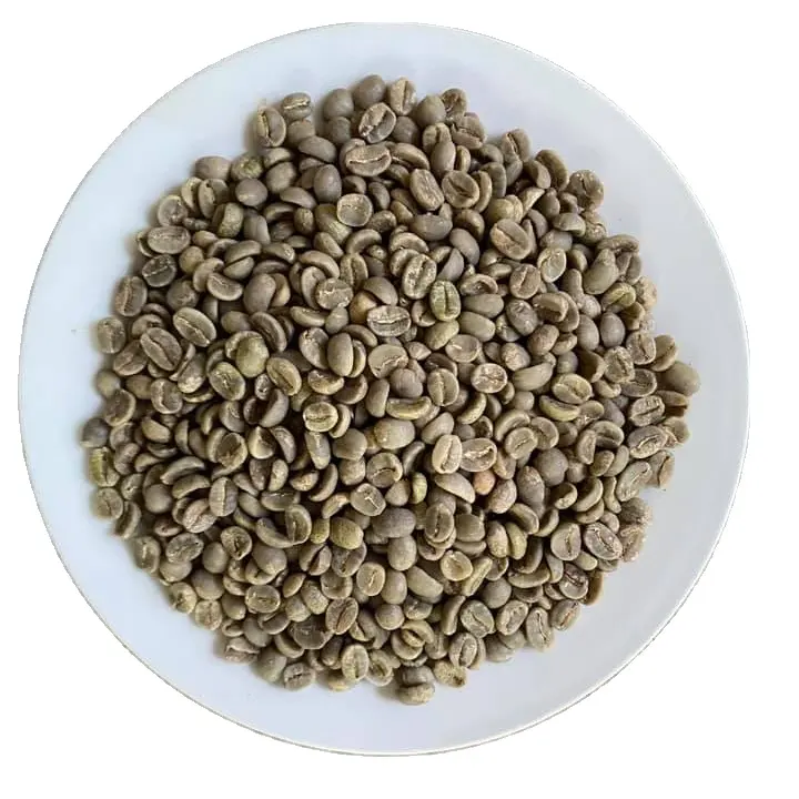 Viet Nam Green Robusta Coffee Bean Wet Polished S18 Grade 1 - WA +84 `34 6633 499 (Cate)
