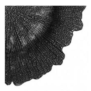 KHAN EXIMPO Material de hierro sostenible Placa de cargador Forma irregular Plato de boda de vidrio de cerámica negro Diseño Ins al por mayor - Product Image 4