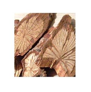 Producto agrícola Premium Caulis Sargentodoxae vietnamita - Product Image 1