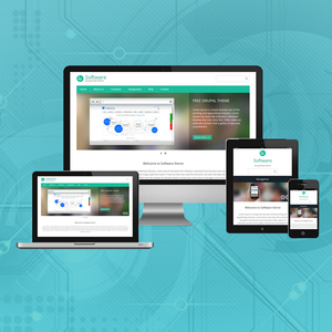 Entreprise de développement logiciel la mieux classée en Inde |   Services de conception et de développement de logiciels primés par Webroot Infosoft - Product Image 1