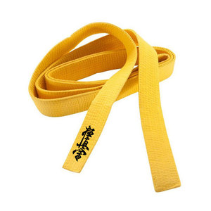 Cinturón de artes marciales hecho a medida Unisex de alta calidad para Jiujitsu Taekwondo Karate y Kyokushin Kai hecho de acero - Product Image 3