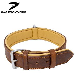 Collar clásico de cuero para perro - Product Image 4