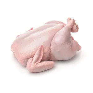 Ayam Segar Halal Frozen dari Turki