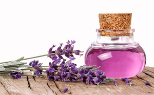 AARNAV GLOBAL EXPORTS 30ml Huile Essentielle Pure de Catnip de Qualité Supérieure pour la Perte de Poids, Ingrédients Herbacés Floraux, Tarifs Compétitifs, Vapeur - Product Image 3