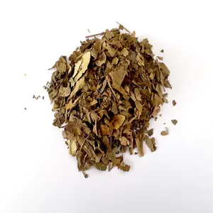 Foglie di Gurmar di erbe di qualità Premium di origine indiana-Gymnema silvestre foglia-Gudmar-Gymnema