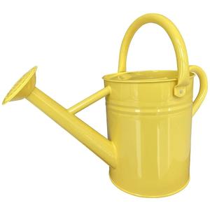 Lata de agua de hierro, lata de agua de Metal con recubrimiento en polvo, calidad Superior, hecha a mano, tamaño personalizado, India, elegante - Product Image 2