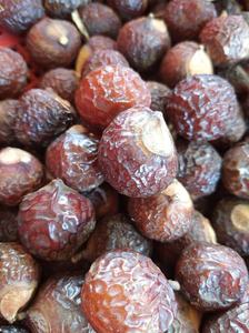 Soda chinois, baies de savon, dodge, Dodani, Reettha, très bon prix - Product Image 2