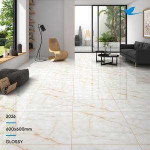 En venta 60x60 Azulejo de piso de porcelana esmaltada digital cortado a medida Muestra disponible Fabricantes de porcelana cerámica India - Product Image 5