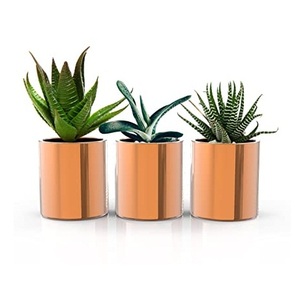 Macetero de Metal chapado en oro, accesorio antiguo y único, de tasa asequible - Product Image 1