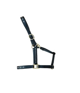 Licol en cuir de cheval de selle anglais équin Primo avec boucles de fer modèle P-LH-9900 - Product Image 1