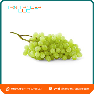 Most Selling Delicious Seedless Sweet Green <b>Fresh</b> <b>Grapes</b> Ready for Export - Product Image 2