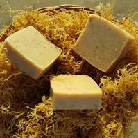 Savon artisanal à base de mousse de mer vietnamienne/Eucéma cotonii, formule solide, adapté à tous les types de peau - NICKY