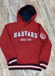 Sudadera con capucha para hombre 100% algodón con cremallera, forro polar grueso de polialgodón, antiencogimiento, estampado liso, logotipo personalizado, suministro ODM para invierno - Product Image 4