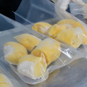 DURIAN CONGELÉ EN GROS DU VIETNAM - HAUTE QUALITÉ ET BON PRIX - Product Image 3