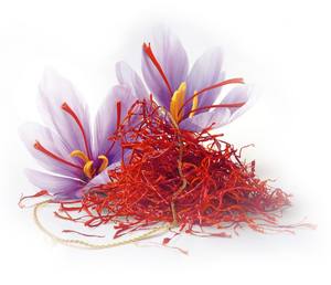 High Quality Indian Kashmiri Saffron Dried Raw Processing Type at Wholesale Price on Sale - Product Image 5